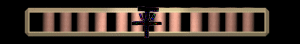 XX055950.gif