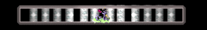 XX058851.gif