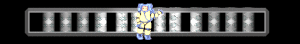 XX058826.gif