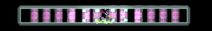 XX058685.gif