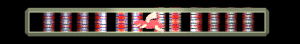 XX059505.gif