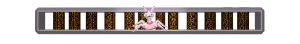 XX060329.gif