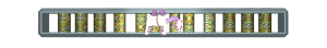 XX060254.gif