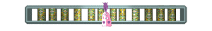 XX060231.gif