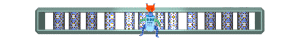 XX060205.gif