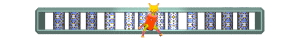 XX060201.gif