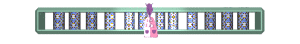 XX060176.gif