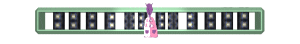 XX060120.gif