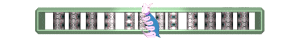 XX060102.gif