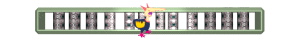 XX060079.gif
