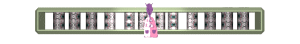 XX060065.gif