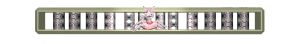 XX060052.gif