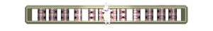XX060047.gif