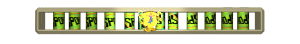 XX061407.gif