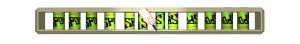 XX061395.gif