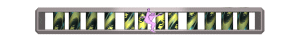 XX061346.gif