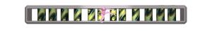 XX061342.gif