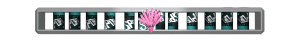 XX061326.gif