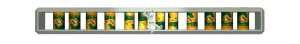 XX061125.gif