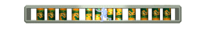 XX061123.gif