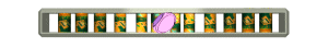 XX061111.gif