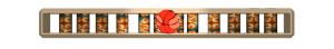 XX060999.gif