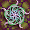 xag04825.gif