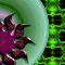 xag04921.gif