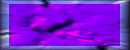 XX069462.gif