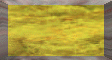 XX069422.gif