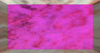 XX069418.gif
