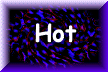 XX116013.gif