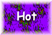 XX116513.gif