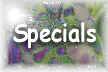 XX115897.gif