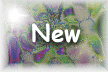 XX115892.gif