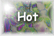 XX115888.gif