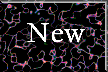 XX107772.gif