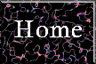 XX107762.gif