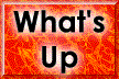 XX108582.gif