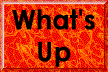 XX108581.gif