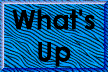 XX108531.gif
