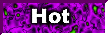 XX117513.gif