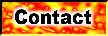 XX118305.gif