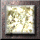 xm001247.gif