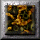 xm001238.gif