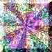 xm001665.gif