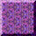 xm001663.gif