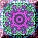 xm001661.gif