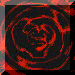 xm001562.gif