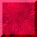 xm001561.gif